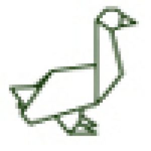 (c) La-goose.com