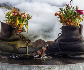 recyclage chaussure en pot de fleur