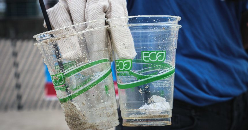 greenwashing gobelets ecologiques