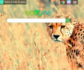 Page d'accueil ecogine, le moteur de recherche français