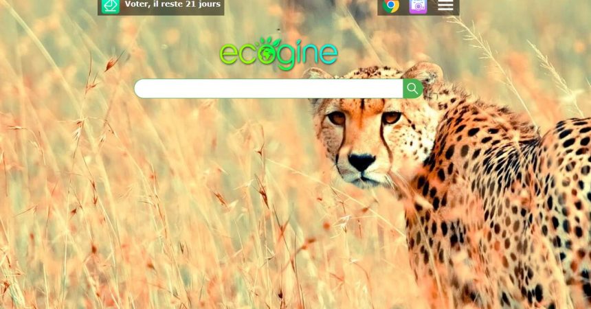 Page d'accueil ecogine, le moteur de recherche français