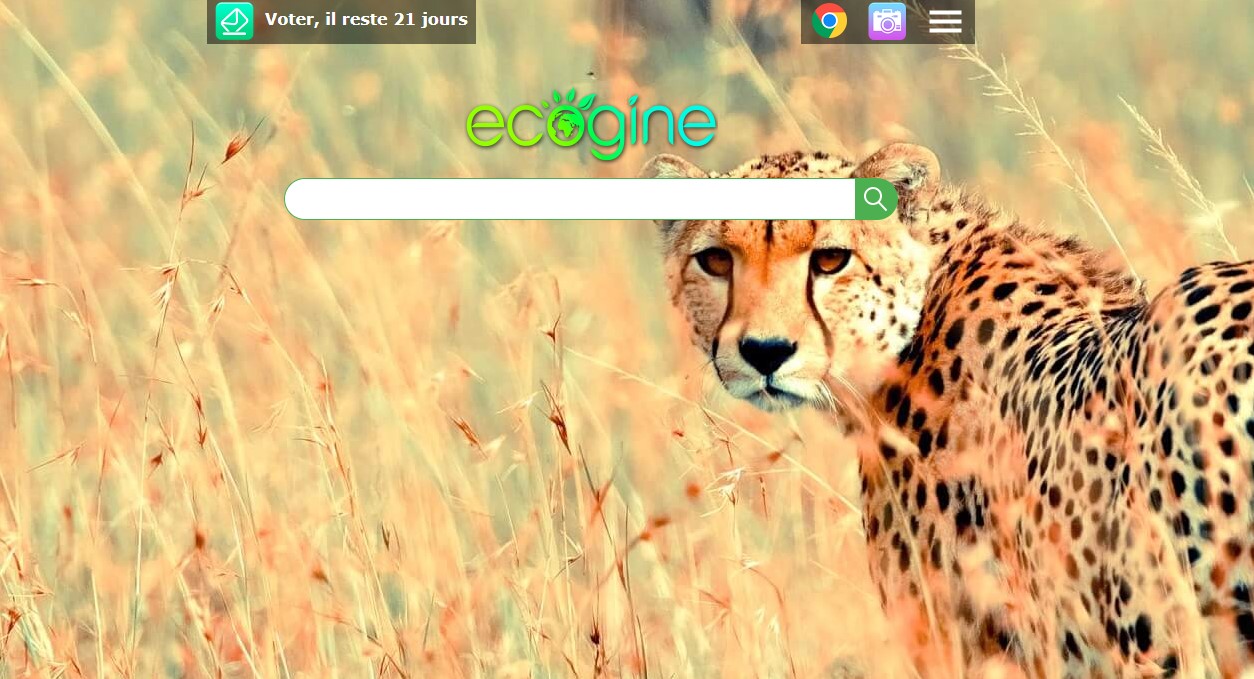 Ecogine, le moteur de recherche 100% français et écologique