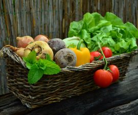 Légumes bio