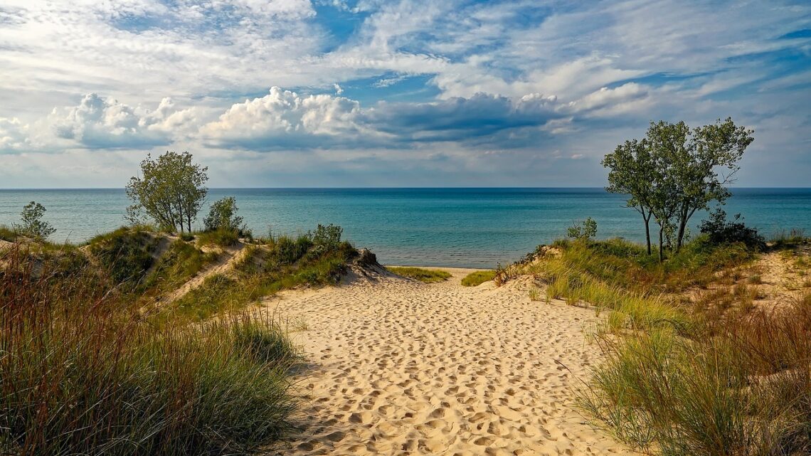 Quelques idées pour des vacances plus écologiques