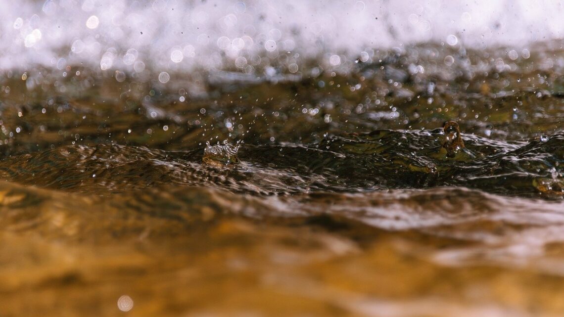 Les avantages écologiques de la récupération d’eau de pluie pour l’agriculture durable